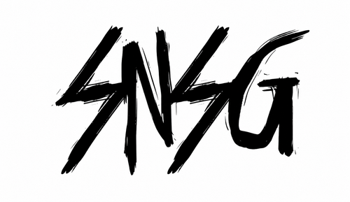 SNSG INC